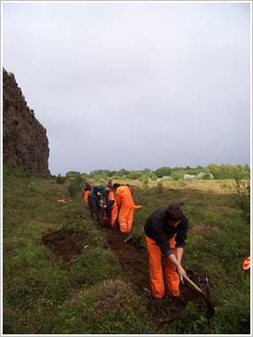 Sjálfboðaliðar að störfum við Mývatn